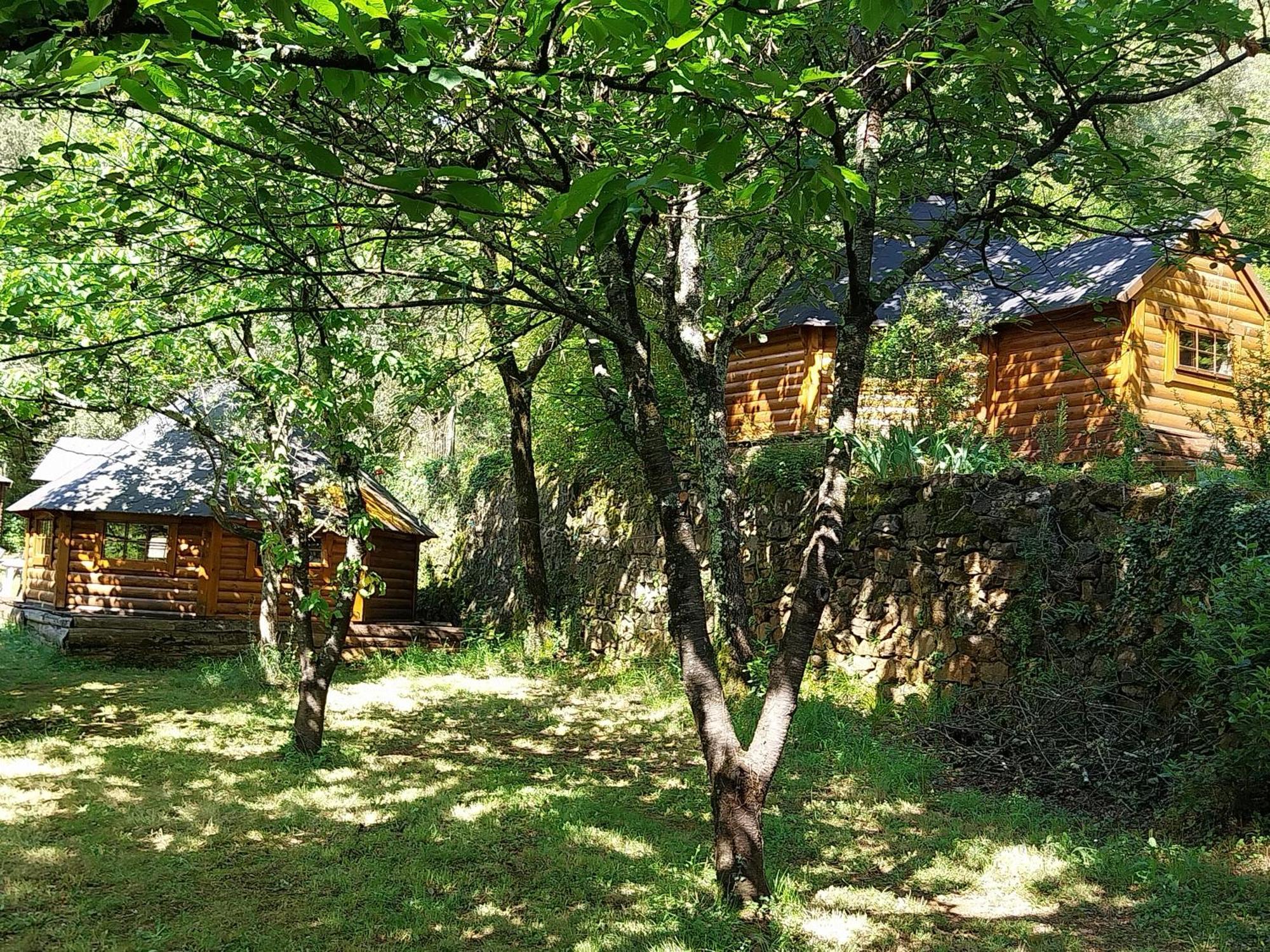 Natur'Anes Villa Mialet  Dış mekan fotoğraf